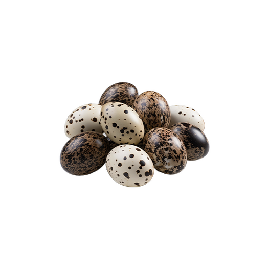 Quail egg