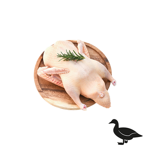 Grade A duck