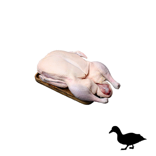 Grade B goose
