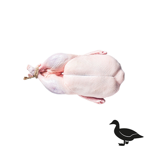 Grade B duck
