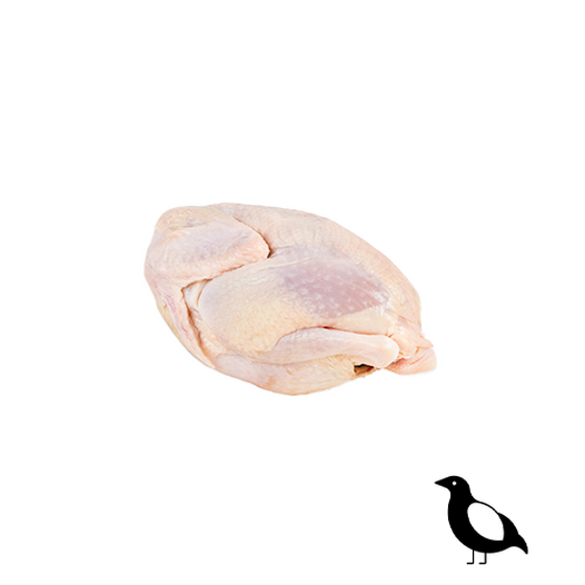 Partridge