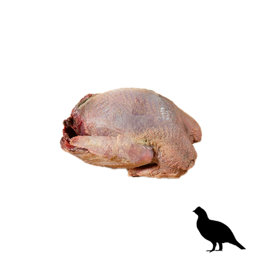 Hazel grouse
