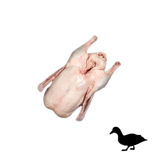 Grade A goose