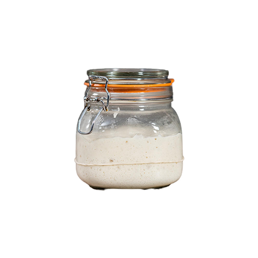 Sourdough starter