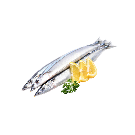 Fresh saury