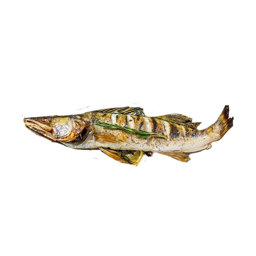 Stuffed zander