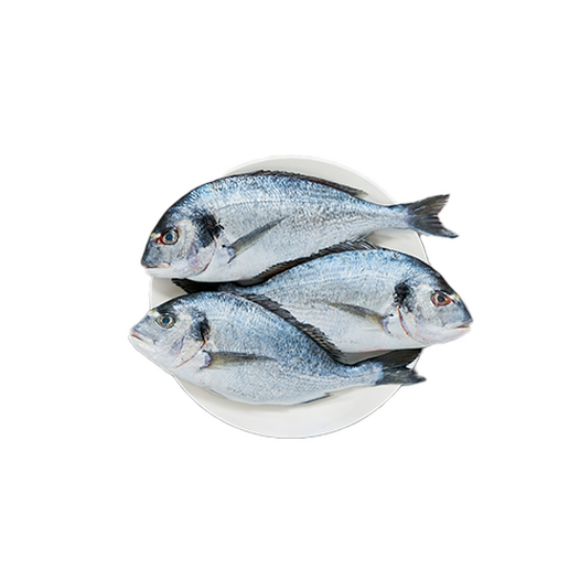 Dorade