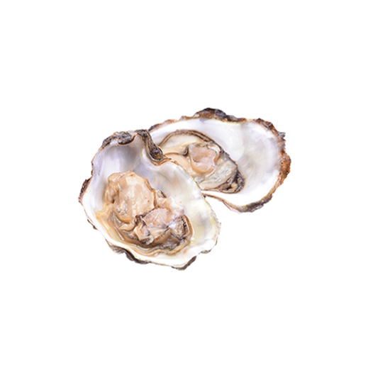 Boiled oysters