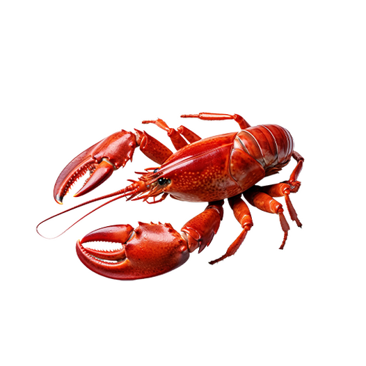 Lobster