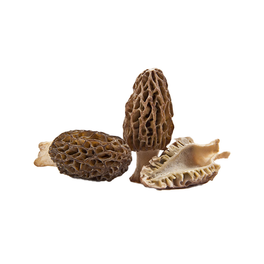 Fresh morels