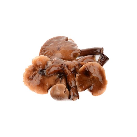 Marinated oyster mushrooms