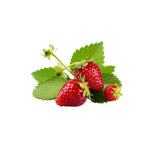 Garden wild strawberry