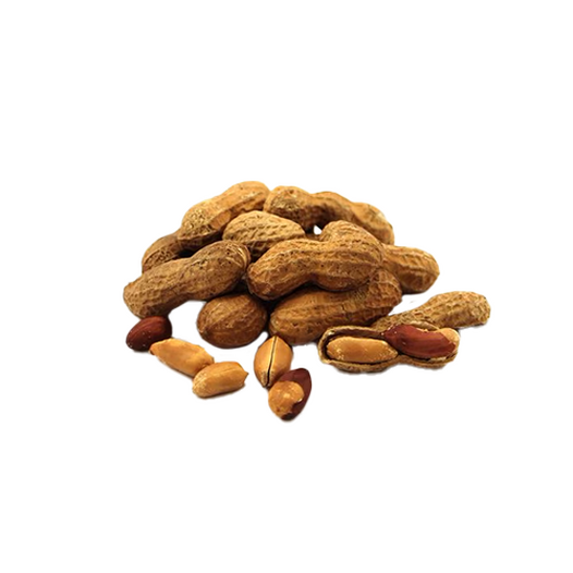 Roasted peanuts in the shell