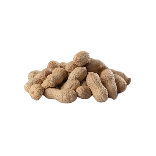 Raw peanuts in the shell