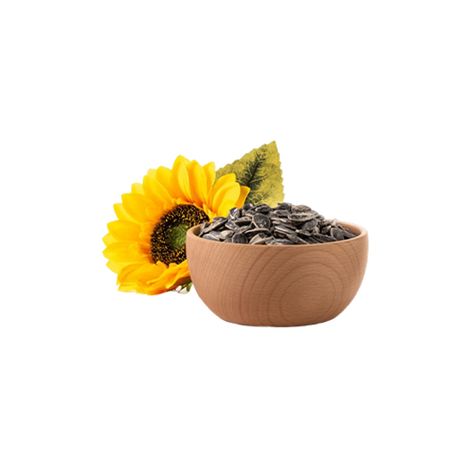 Dried sunflower seeds