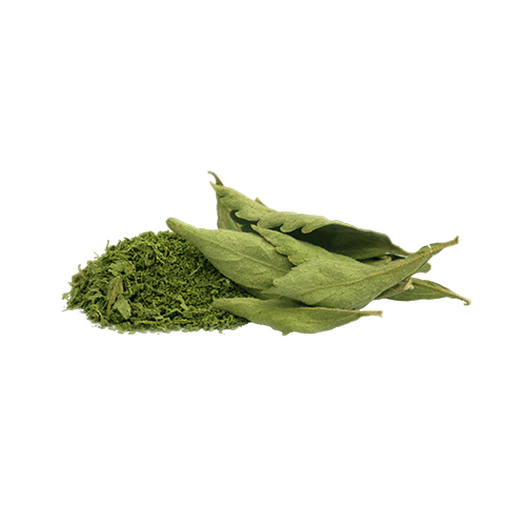 Dried stevia leaves