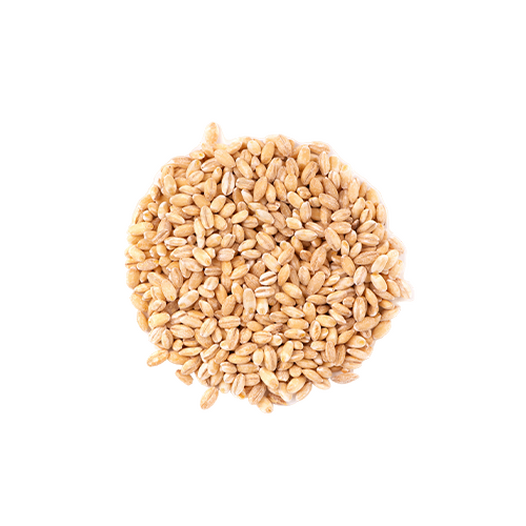 Pearled light barley