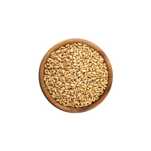 White wheat (whole grain)
