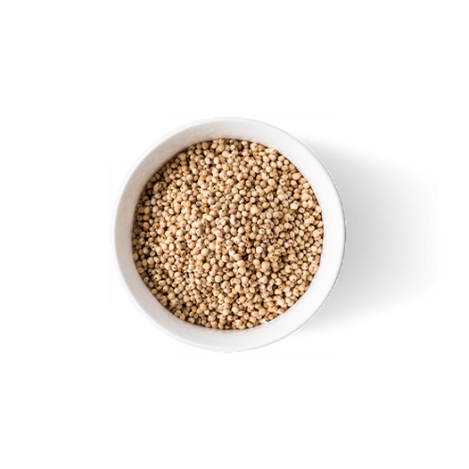 Sorghum grain