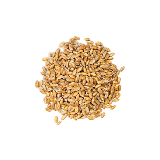 Hard red spring wheat (whole grain)