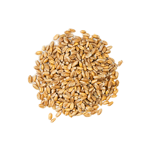 Soft red winter wheat (whole grain)
