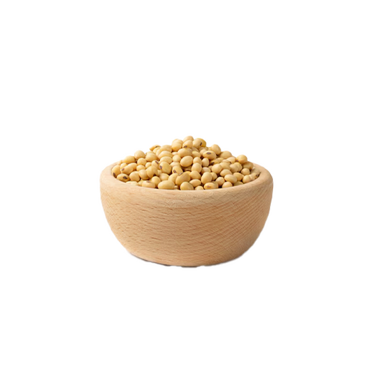 Soya beans dried uncooked