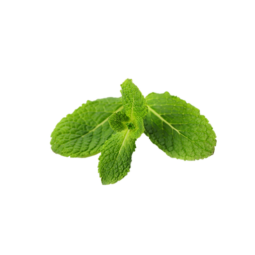 Fresh mint