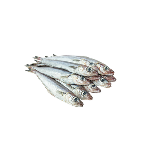 Blue whiting
