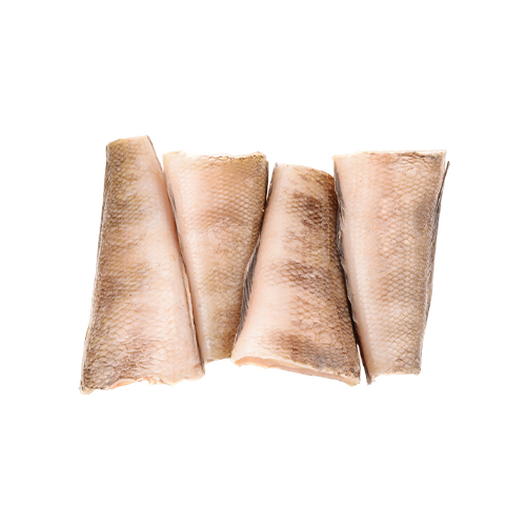 Notothenia