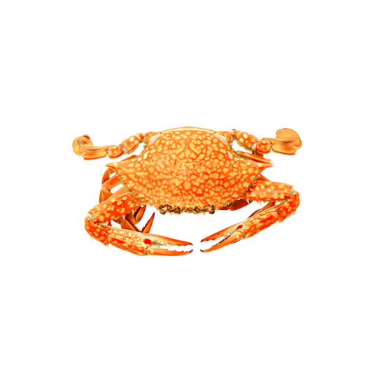Crab