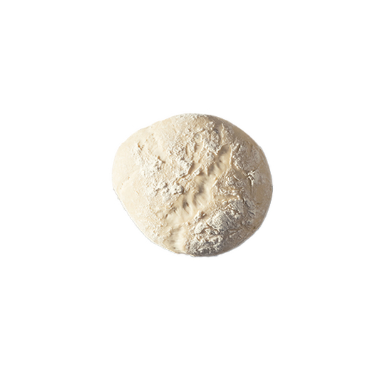 Sourdough