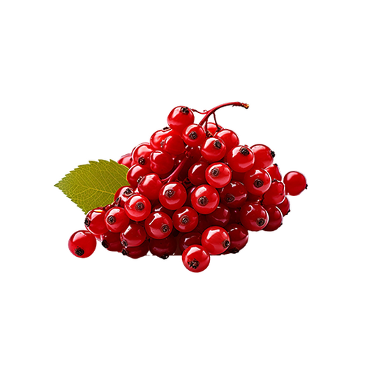 Schisandra