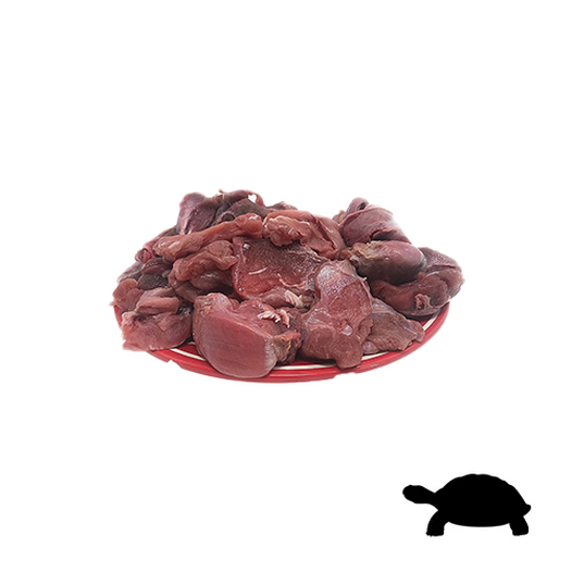 Turtle meat