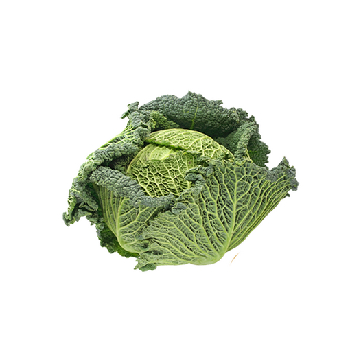 Savoy cabbage Savoy cabbage
