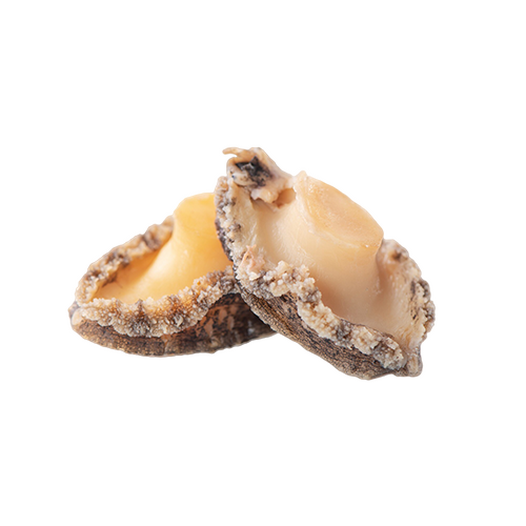 Abalone