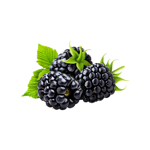 Blackberries