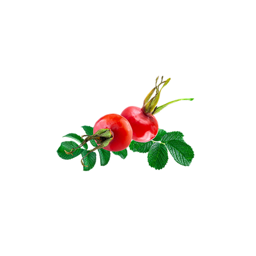 Rosehip