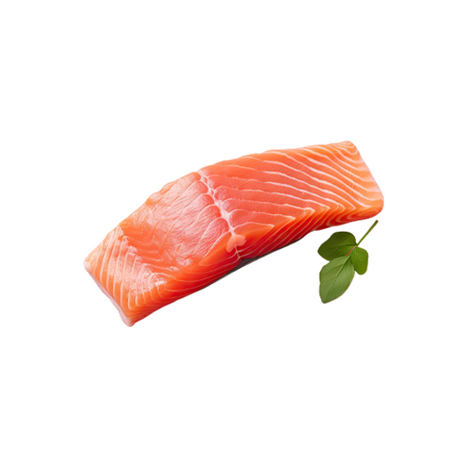 Salmon fish Salmon fish