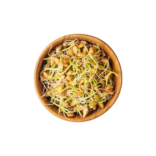 Sprouted wheat
