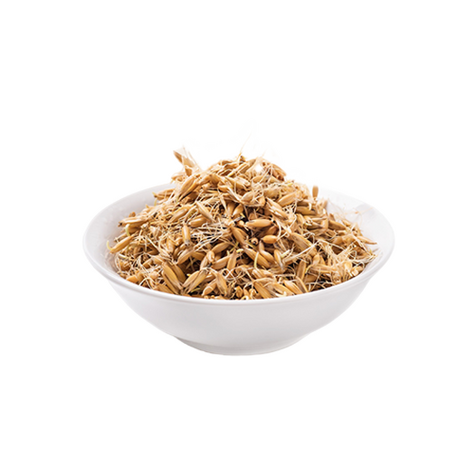 Sprouted oats