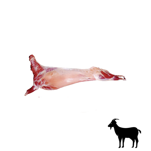 Kid goat meat