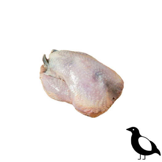 Partridges