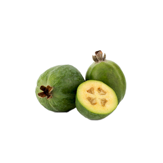 Feijoa