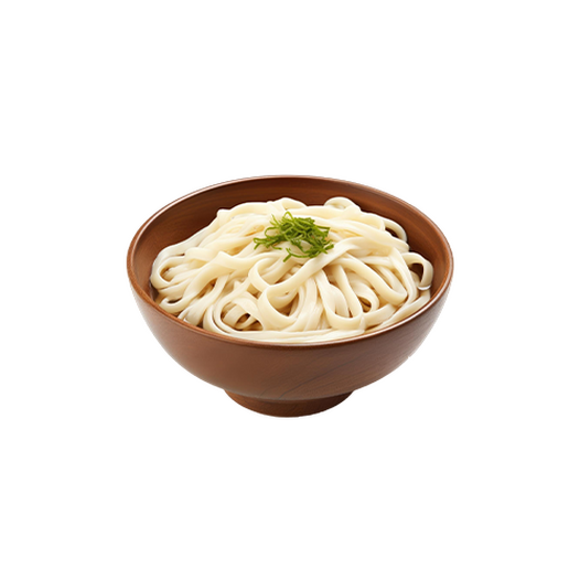 Udon noodles