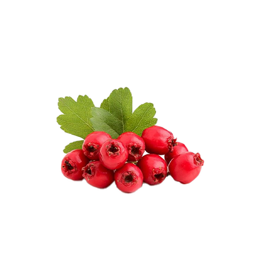 Hawthorn