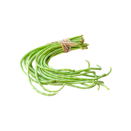Vigna