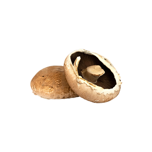 Portobello mushroom