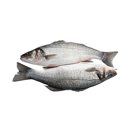 Sea bass