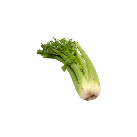 Celery stalk Celery stalk