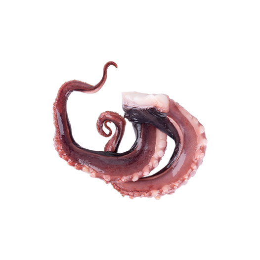 Squid tentacles